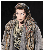 �w�I�C�f�B�v�X���x